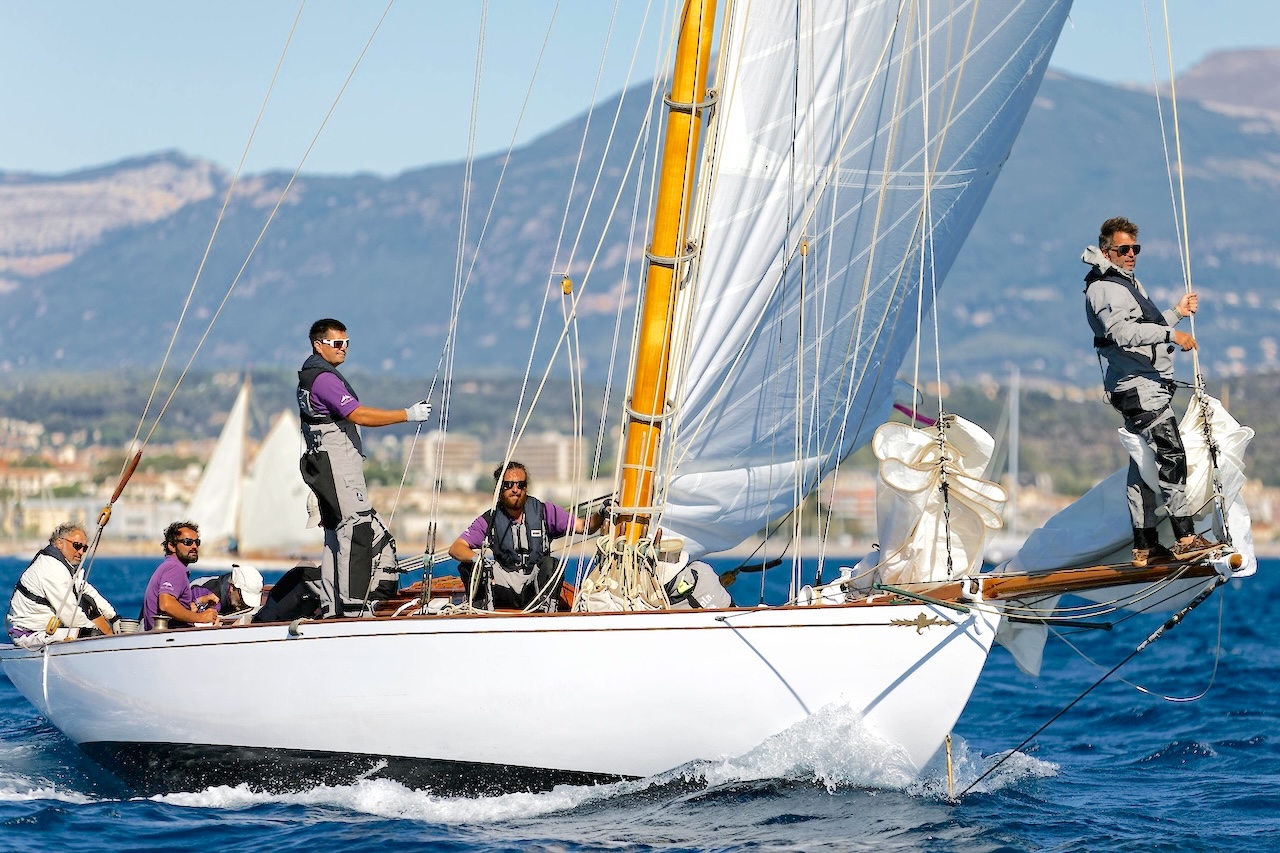 Samenwerking en netwerk bij DVML